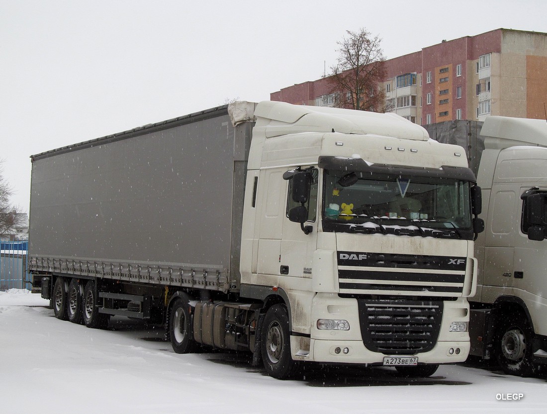 Смоленская область, № А 273 ВЕ 67 — DAF XF105 FT