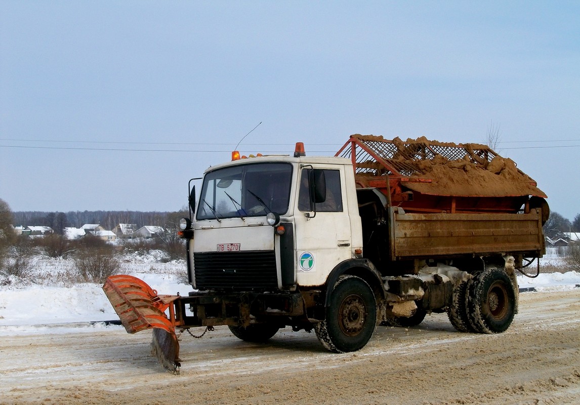 Могилёвская область, № ТВ 5270 — МАЗ-5551 (общая модель)