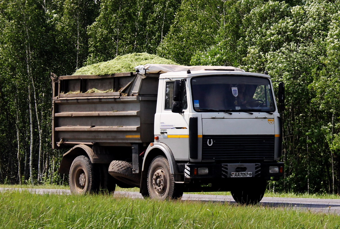 Могилёвская область, № АА 7057-6 — МАЗ-5551 (общая модель)