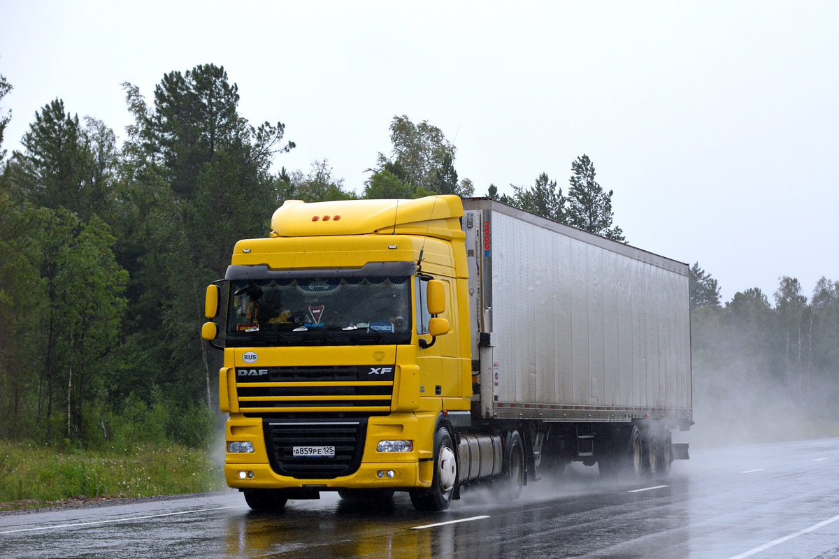 Приморский край, № А 859 РЕ 125 — DAF XF105 FT