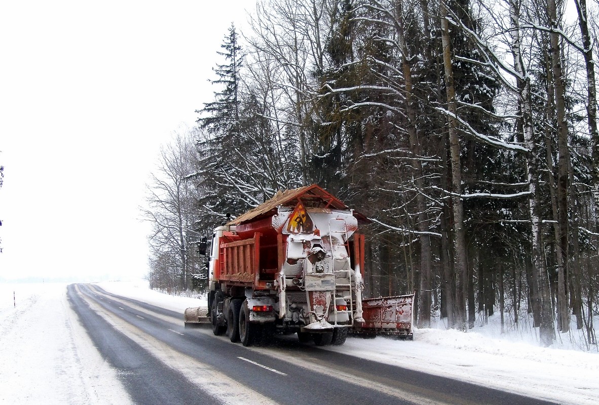 Могилёвская область, № АЕ 6733-6 — МАЗ-6501 (общая модель)