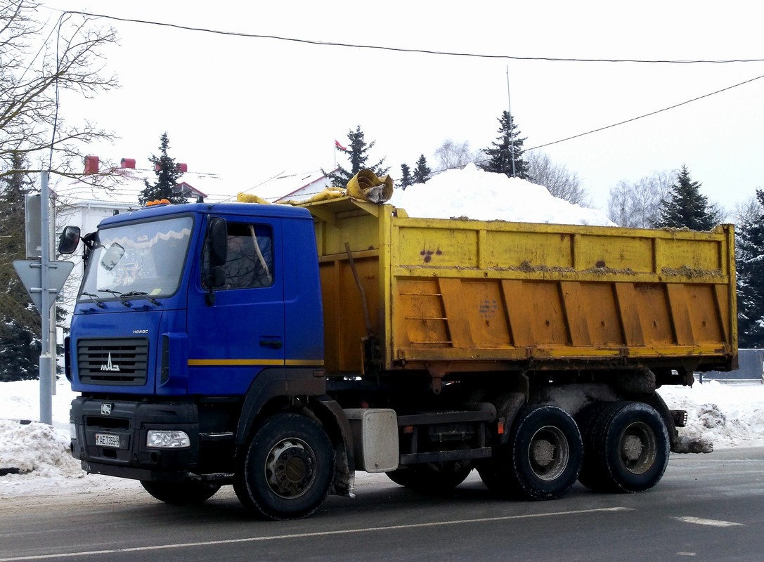 Могилёвская область, № АЕ 7359-6 — МАЗ-6501 (общая модель)