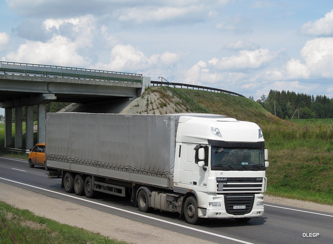 Могилёвская область, № АЕ 6201-6 — DAF XF105 FT