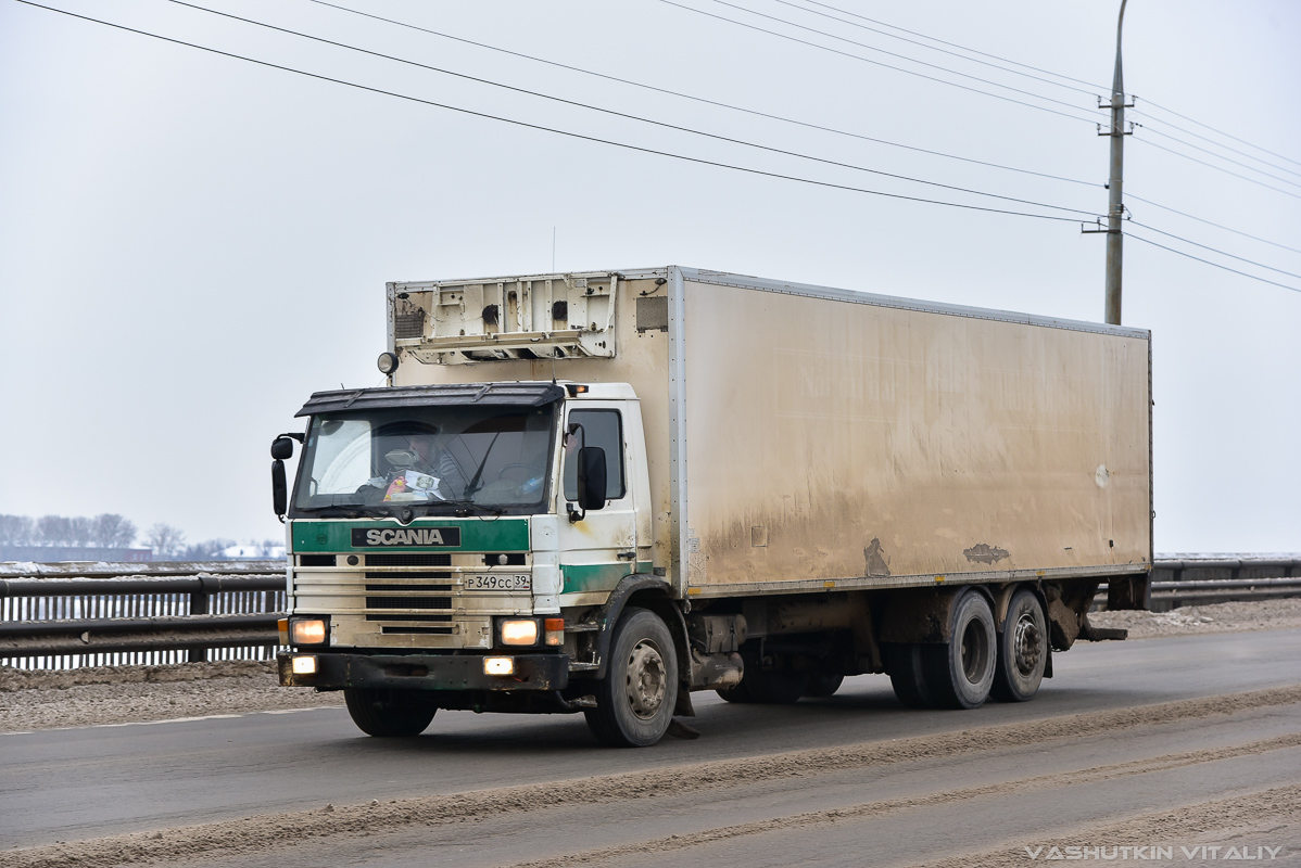 Калининградская область, № Р 349 СС 39 — Scania (II) (общая модель)