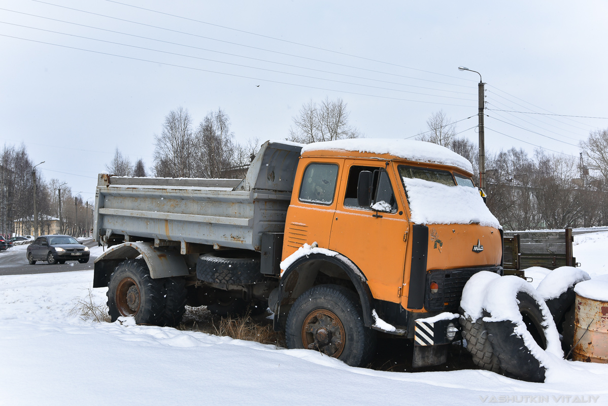 Архангельская область, № С 900 РЕ 29 — МАЗ-5549