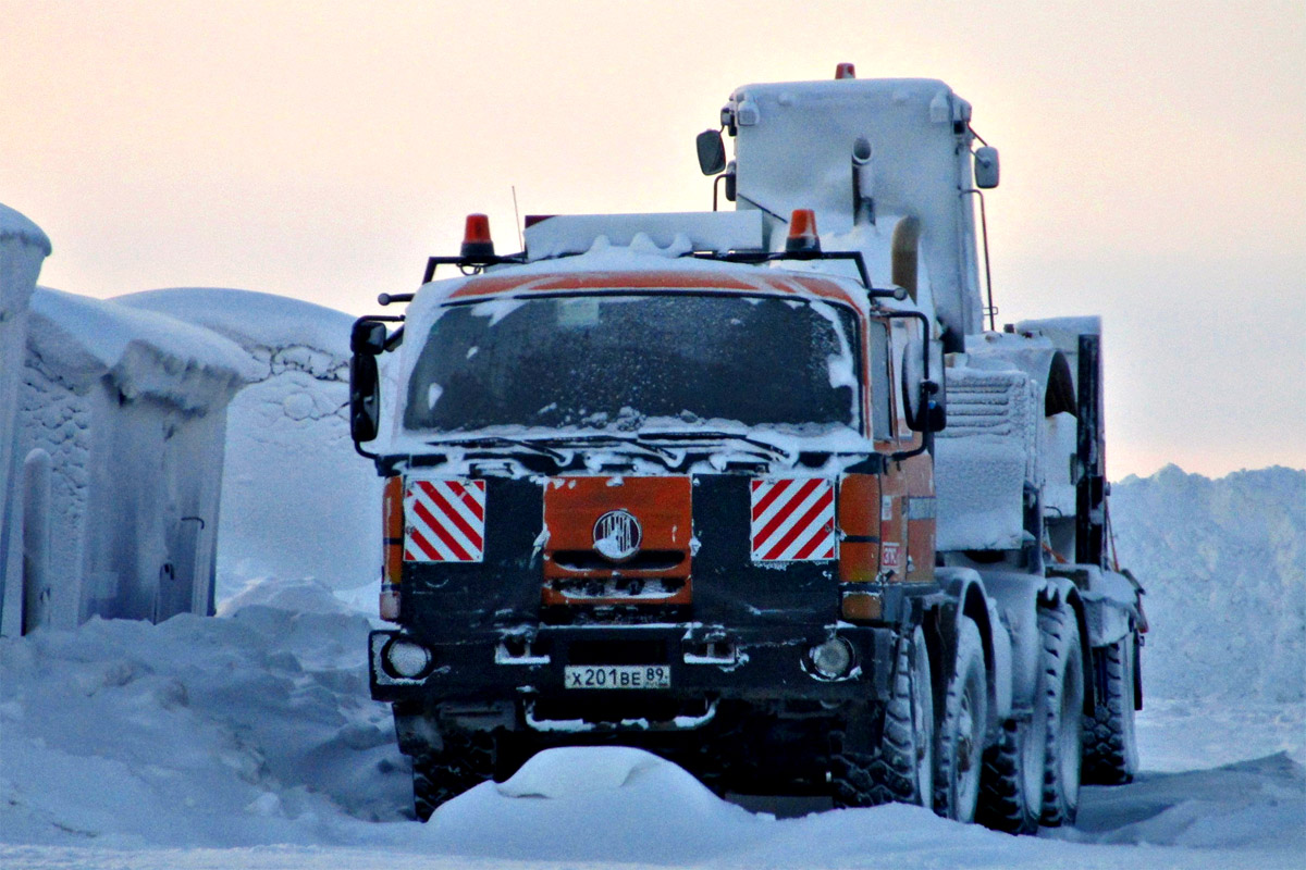 Ямало-Ненецкий автоном.округ, № Х 201 ВЕ 89 — Tatra 815 TerrNo1-290N9T