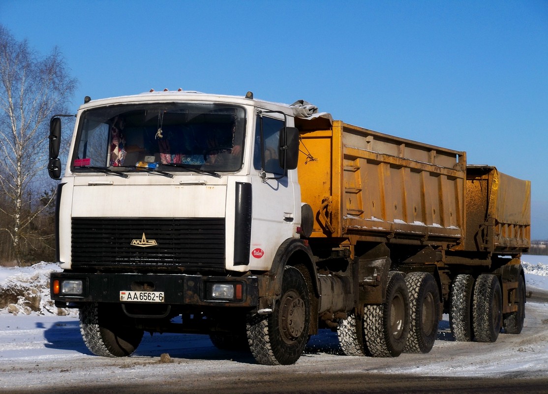 Могилёвская область, № АА 6562-6 — МАЗ-5516 (общая модель)