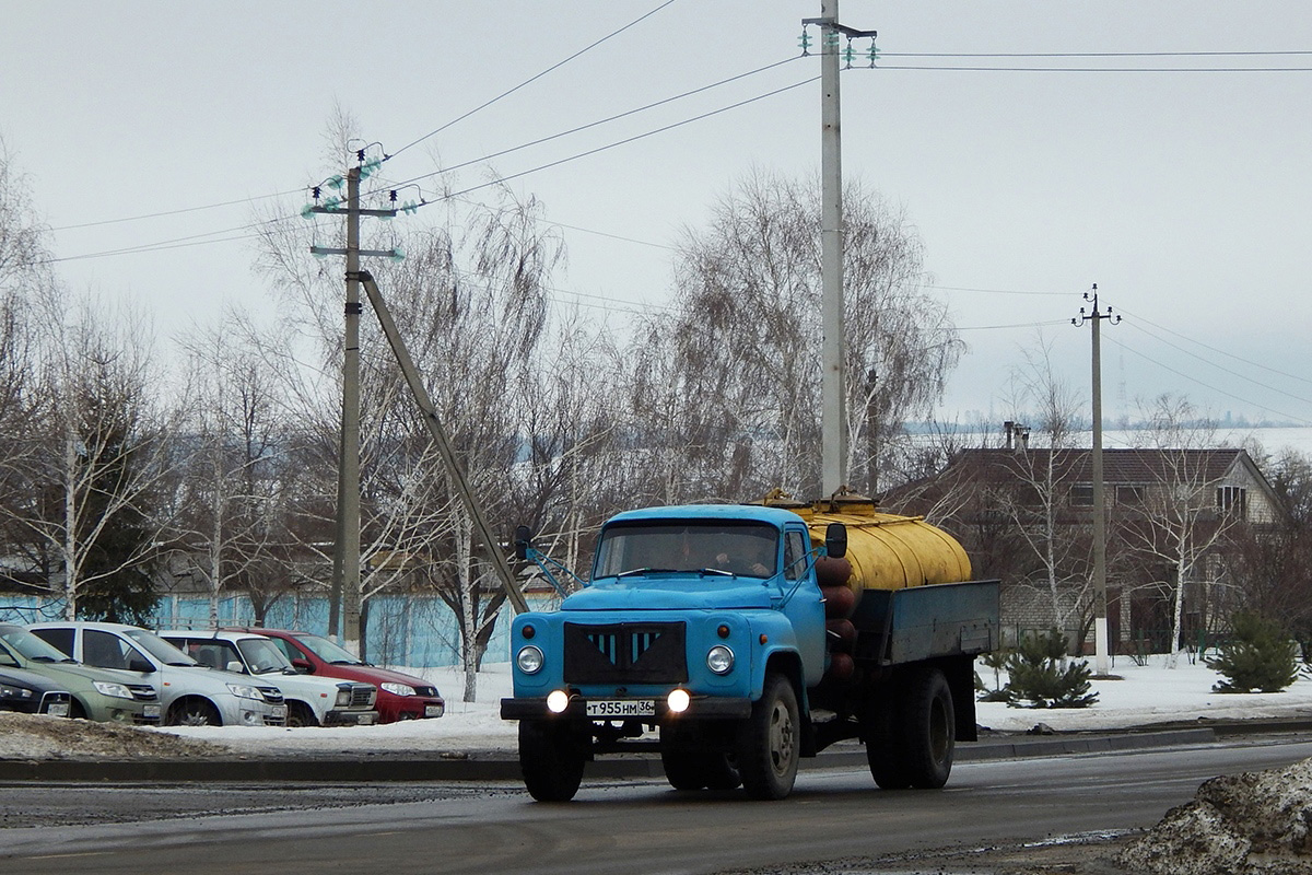 Воронежская область, № Т 955 НМ 36 — ГАЗ-53-12