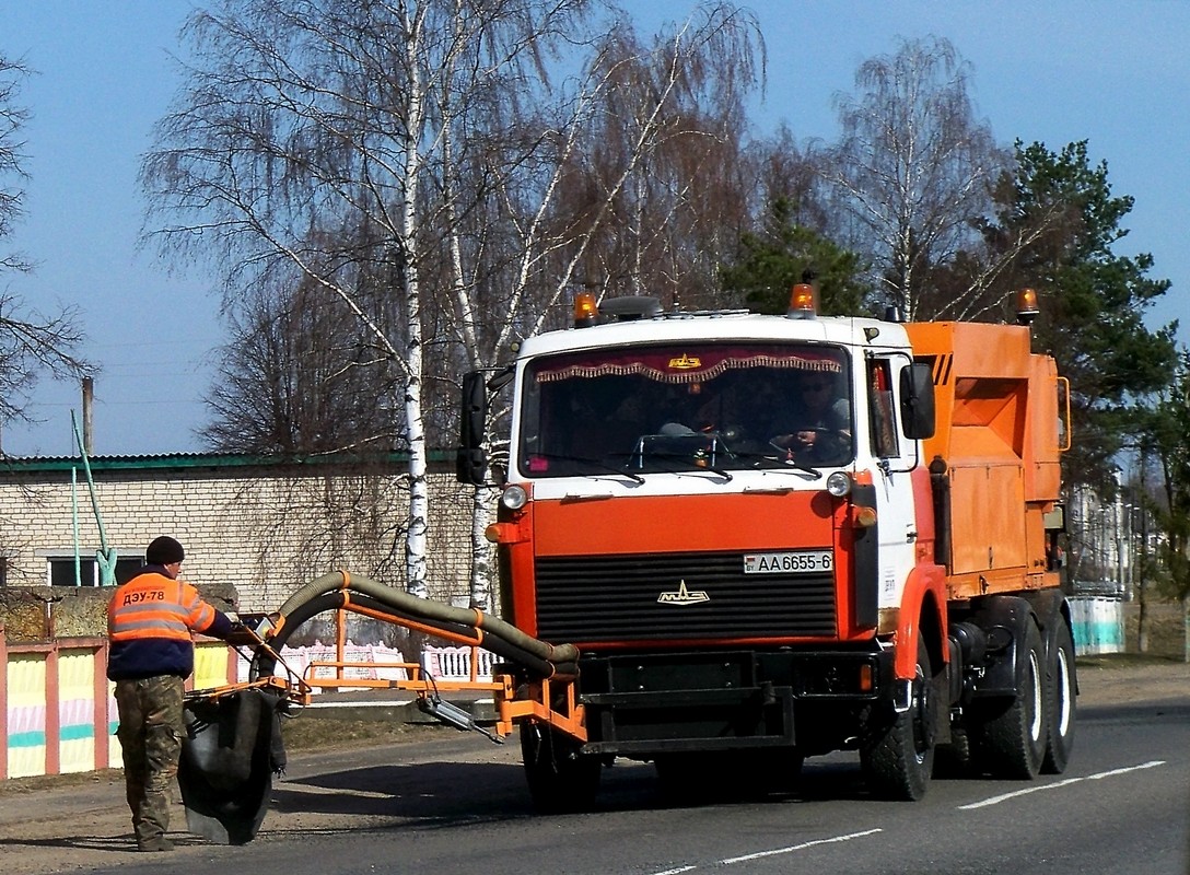 Могилёвская область, № АА 6655-6 — МАЗ-5516 (общая модель)