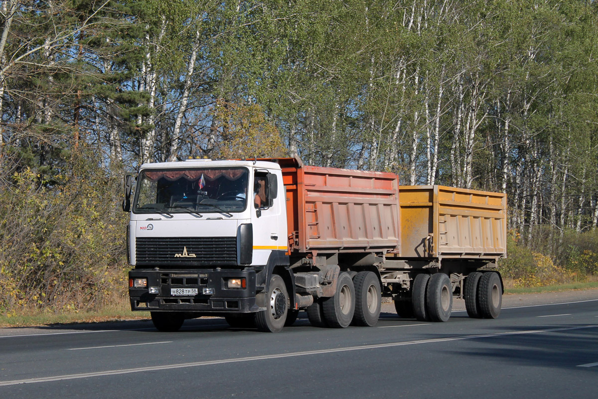 Пензенская область, № Н 828 ТР 58 — МАЗ-6501 (общая модель)