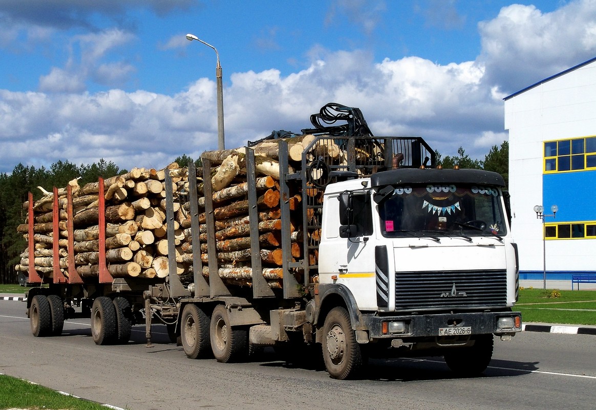 Могилёвская область, № АЕ 2026-6 — МАЗ-6303 (общая модель)