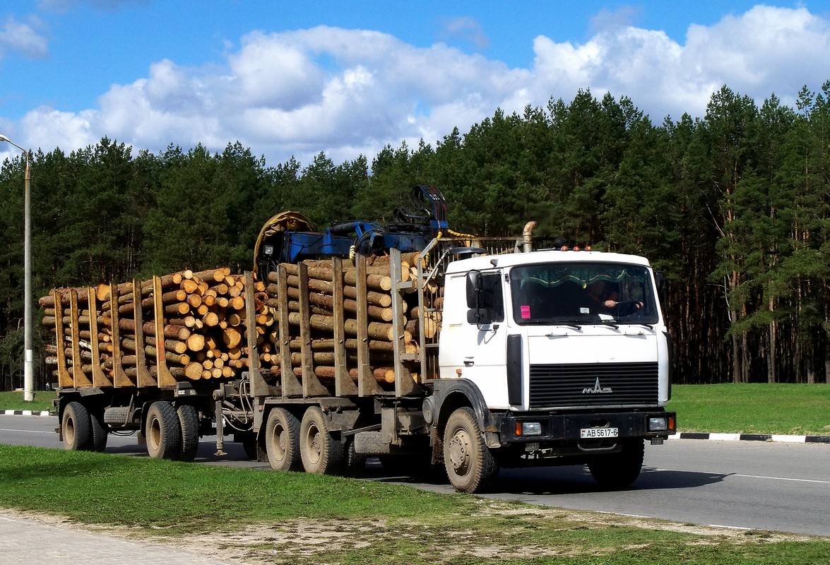 Могилёвская область, № АВ 5617-6 — МАЗ-6303 (общая модель)