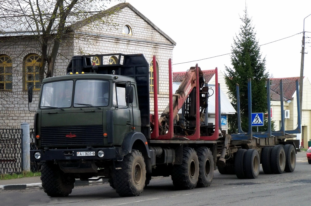 Могилёвская область, № АІ 3631-6 — МАЗ-6317 (общая модель)