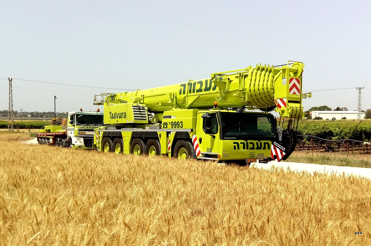 Израиль, № 126 — Liebherr (общая модель)