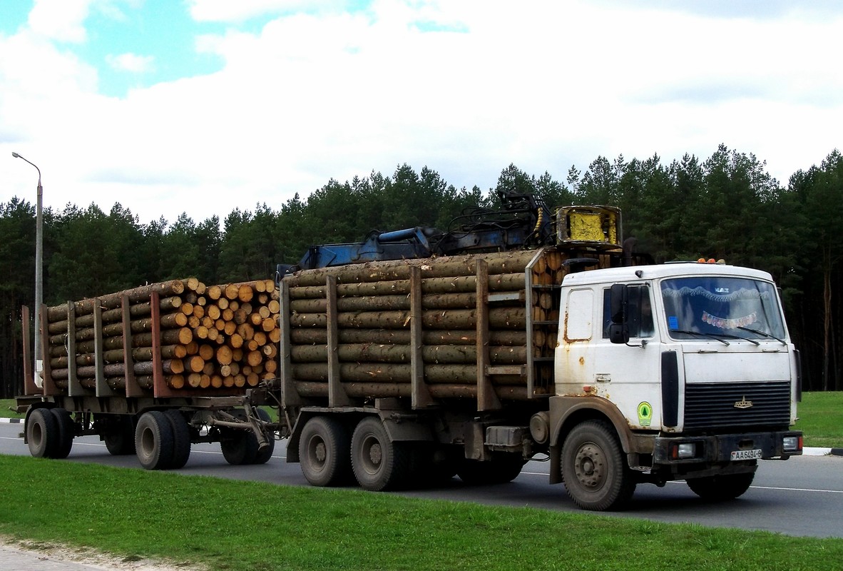 Могилёвская область, № АА 6494-6 — МАЗ-6303 (общая модель)