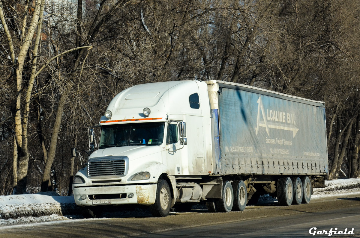 Кемеровская область, № Н 213 ТЕ 42 — Freightliner Columbia