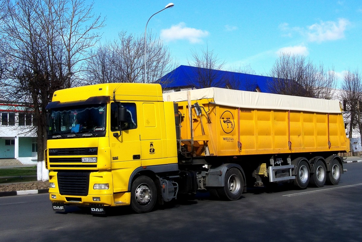 Могилёвская область, № АІ 3175-6 — DAF XF95 FT