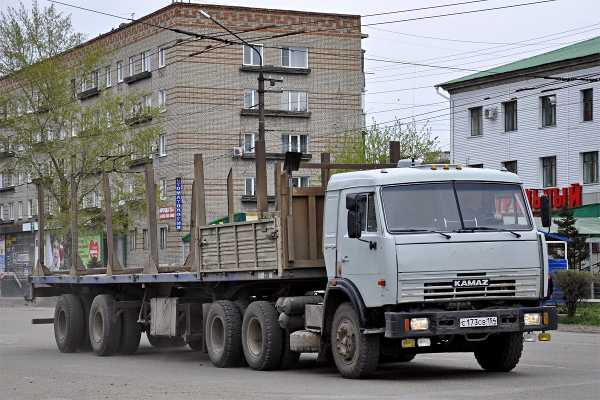 Новосибирская область, № С 173 СВ 154 — КамАЗ-54115 (общая модель)