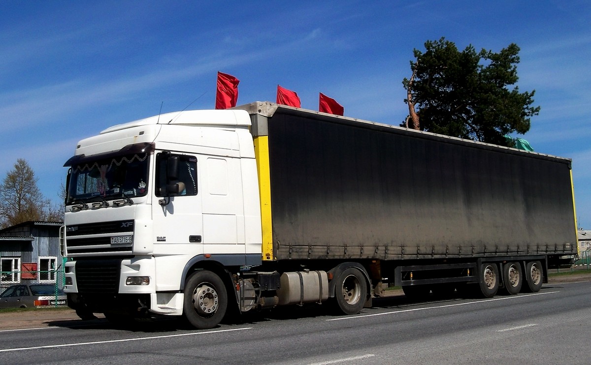 Могилёвская область, № АВ 5715-6 — DAF XF95 FT