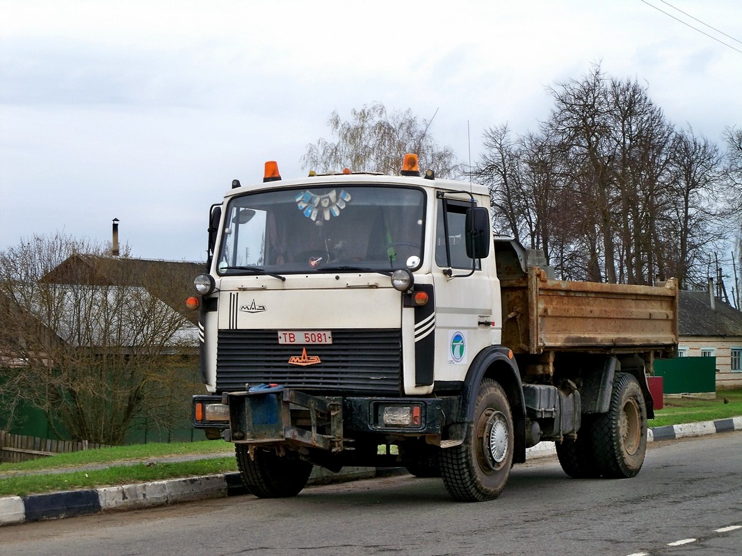 Могилёвская область, № ТВ 5081 — МАЗ-5551 (общая модель)