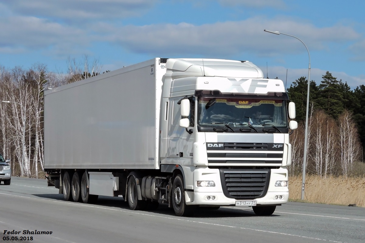 Белгородская область, № Н 313 НУ 31 — DAF XF105 FT