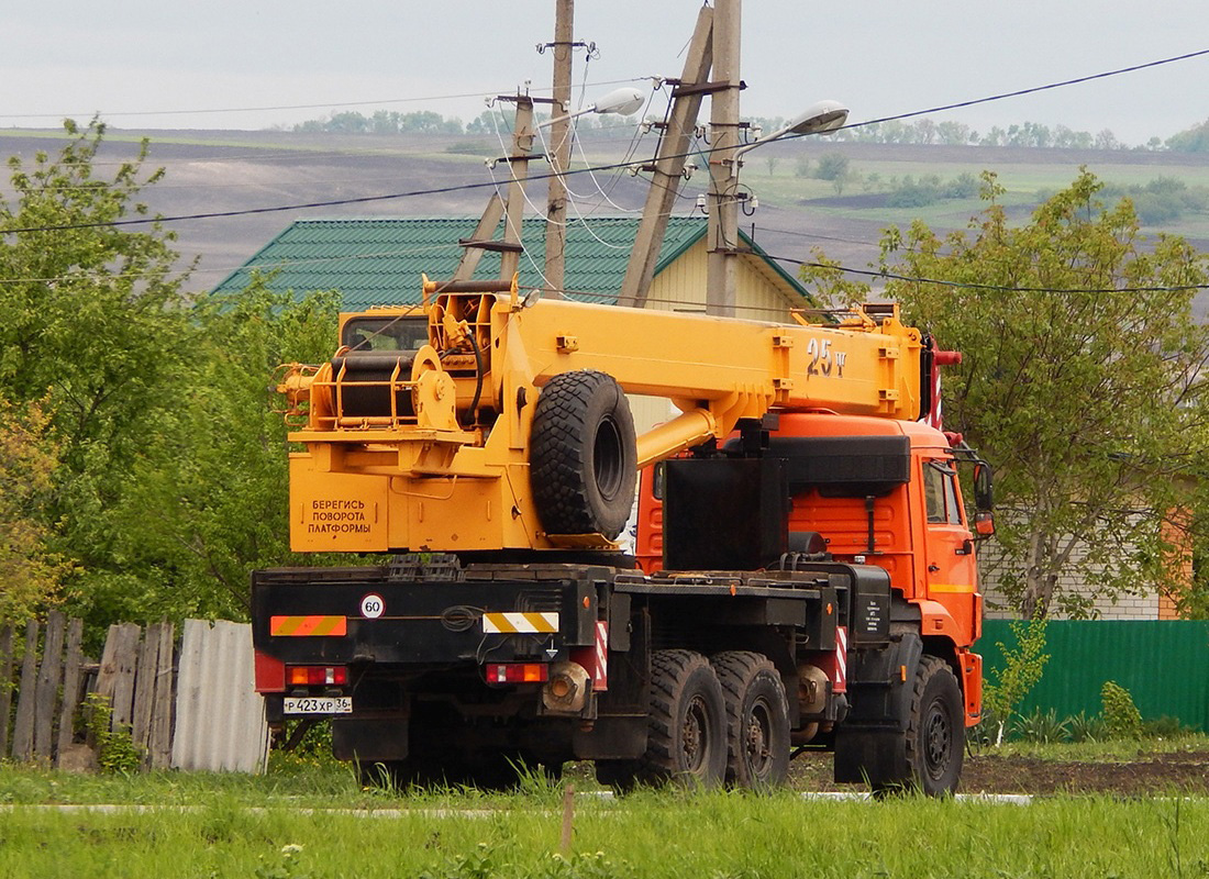 Воронежская область, № Р 423 ХР 36 — КамАЗ-43118-46