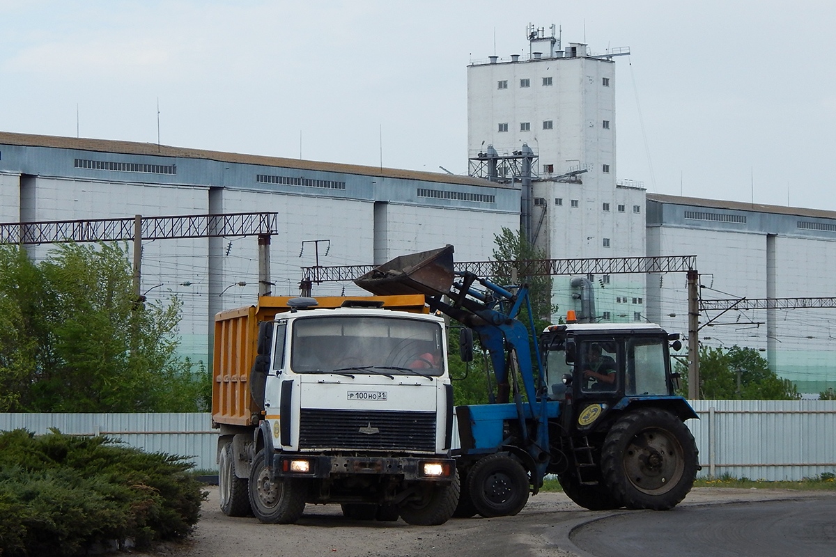 Белгородская область, № Р 100 НО 31 — МАЗ-5516A5; Белгородская область, № 2448 ЕЕ 31 — Беларус-82.1