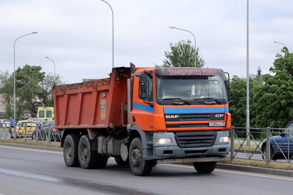 Калининградская область, № О 286 КА 39 — DAF CF85 FAT