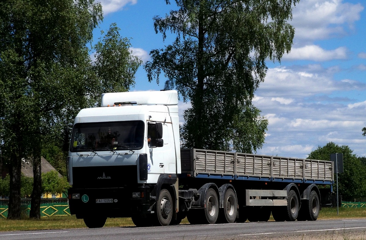 Могилёвская область, № АІ 1225-6 — МАЗ-6430 (общая модель)