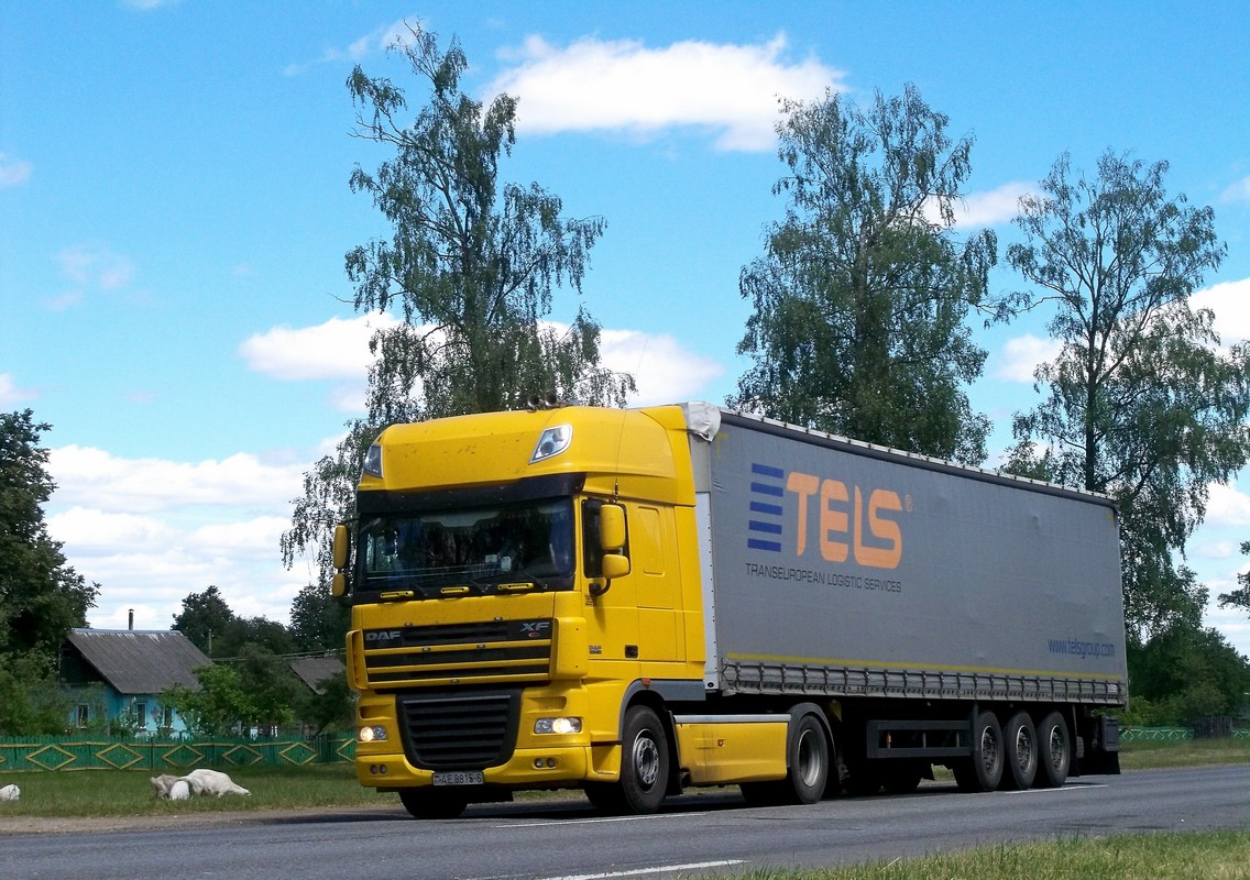 Могилёвская область, № АЕ 8815-6 — DAF XF105 FT