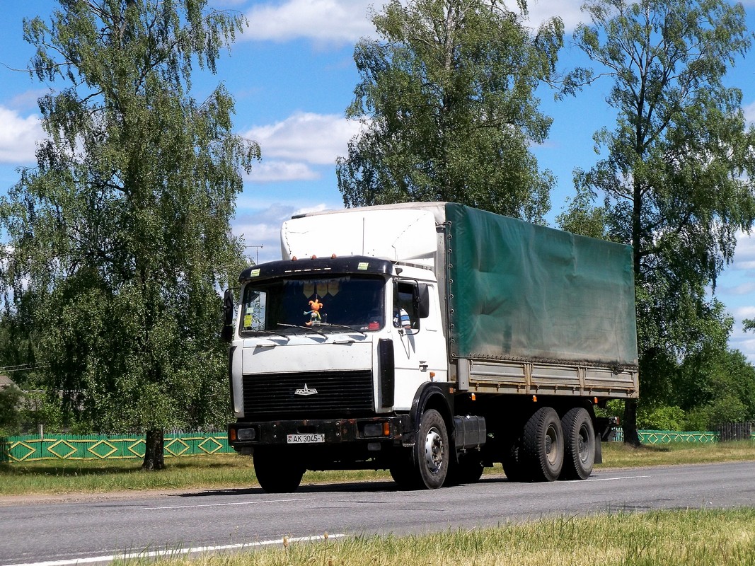 Брестская область, № АК 3045-1 — МАЗ-6303 (общая модель)