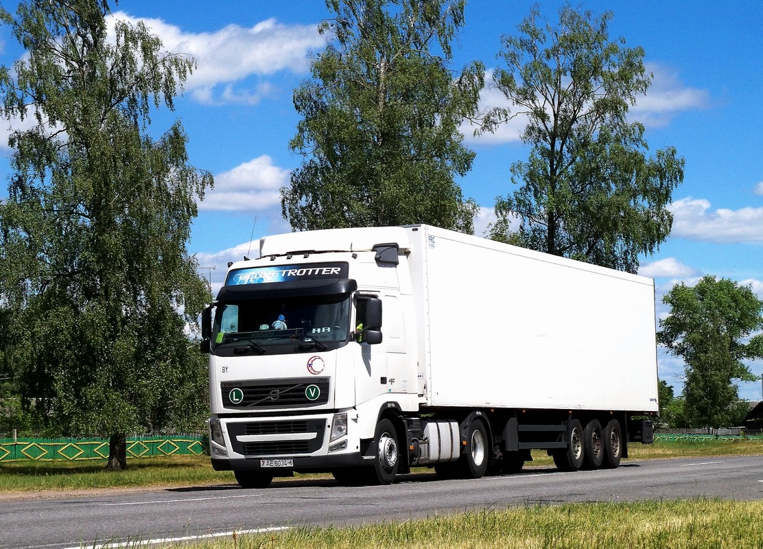 Брестская область, № АЕ 6034-1 — Volvo ('2008) FH.460