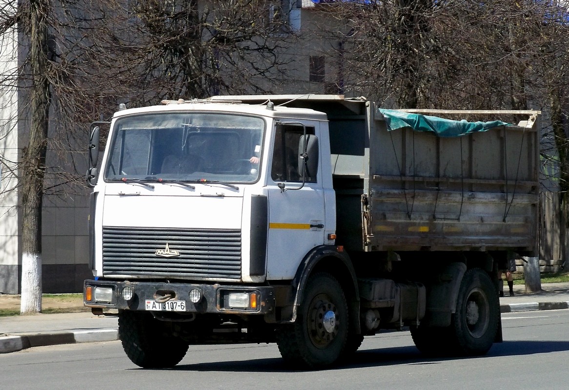 Могилёвская область, № АІ 3107-6 — МАЗ-5551 (общая модель)