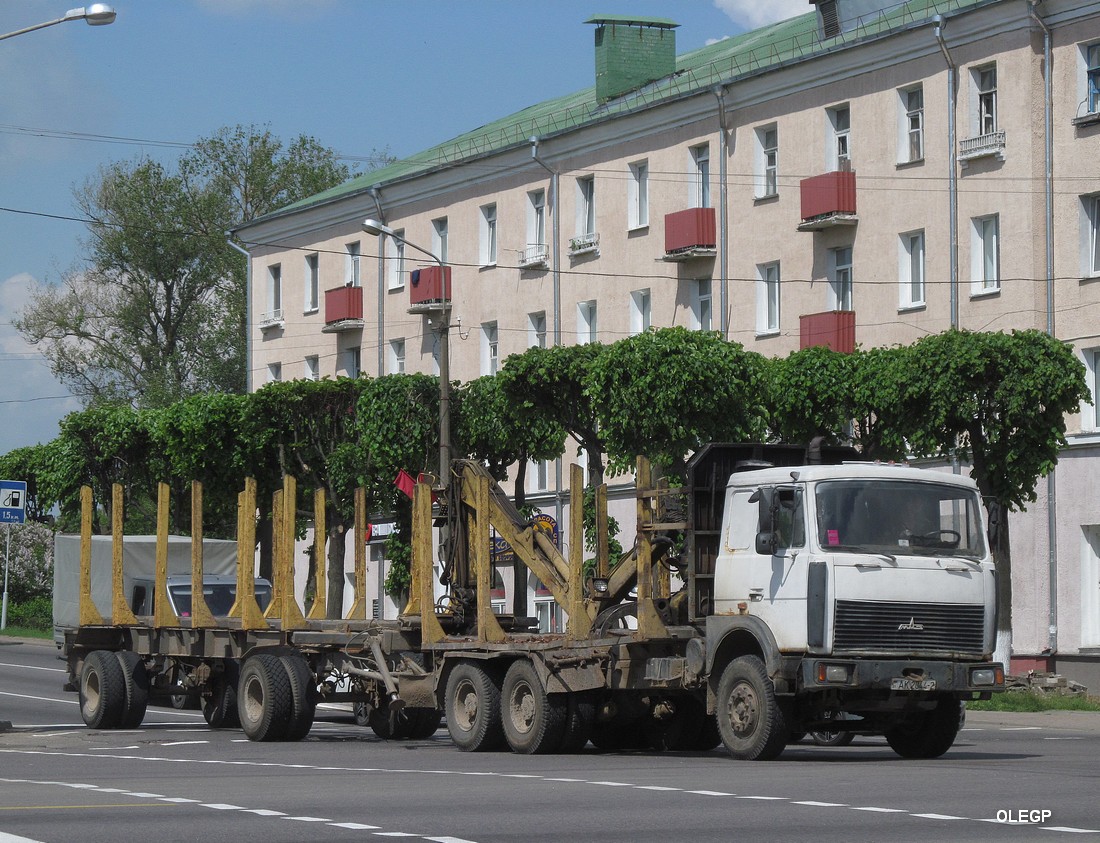 Витебская область, № АК 2044-2 — МАЗ-6303 (общая модель)