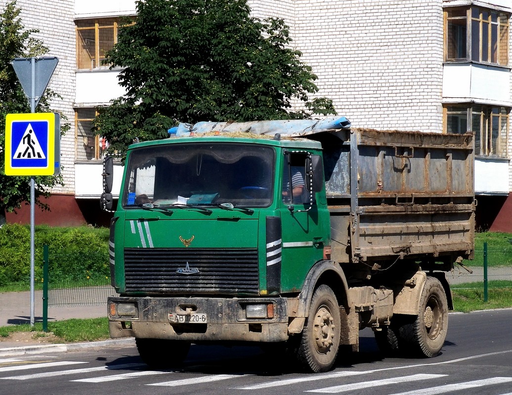 Могилёвская область, № АВ 0220-6 — МАЗ-555142