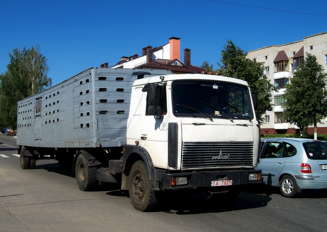 Могилёвская область, № ТА 7827 — МАЗ-5432 (общая модель)