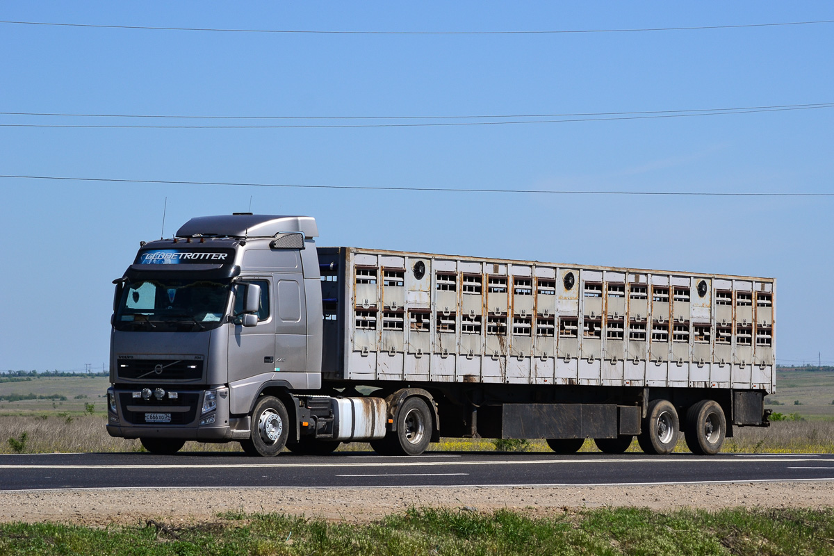 Волгоградская область, № С 666 ХО 34 — Volvo ('2008) FH.440