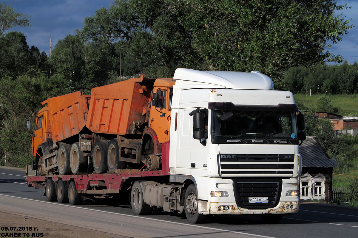 Свердловская область, № Р 442 НТ 96 — DAF XF105 FT