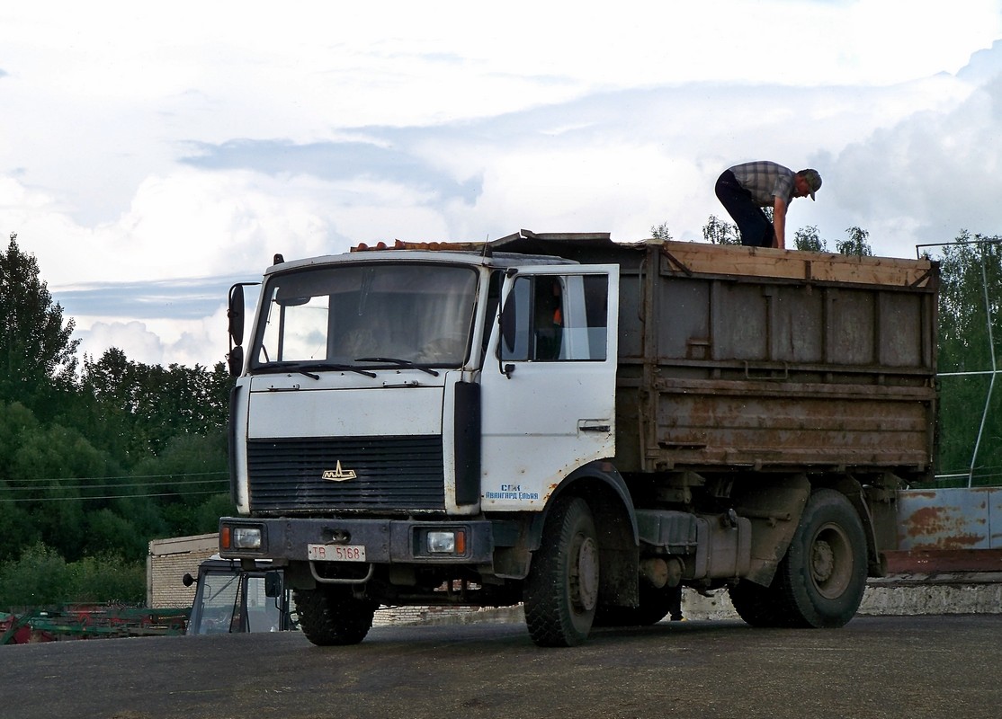 Могилёвская область, № ТВ 5168 — МАЗ-5551 (общая модель)