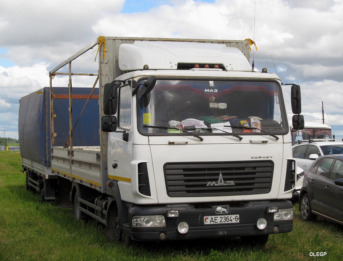 Могилёвская область, № АЕ 2364-6 — МАЗ-4371P2 "Зубрёнок"