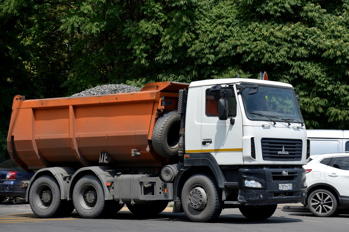 Ростовская область, № Х 181 РК 161 — МАЗ-6501B5