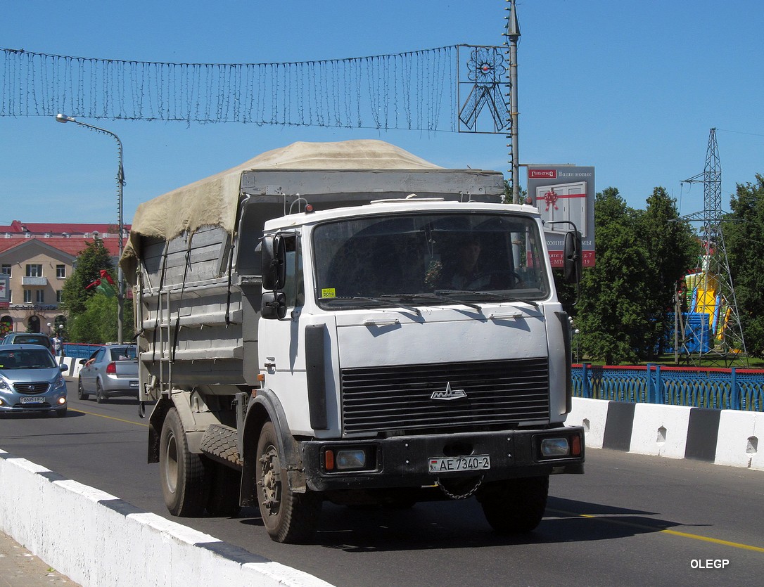 Витебская область, № АЕ 7340-2 — МАЗ-5551 (общая модель)