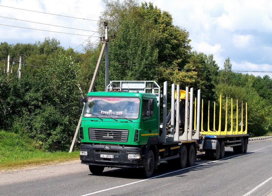 Могилёвская область, № АІ 3674-6 — МАЗ-6312 (общая модель)