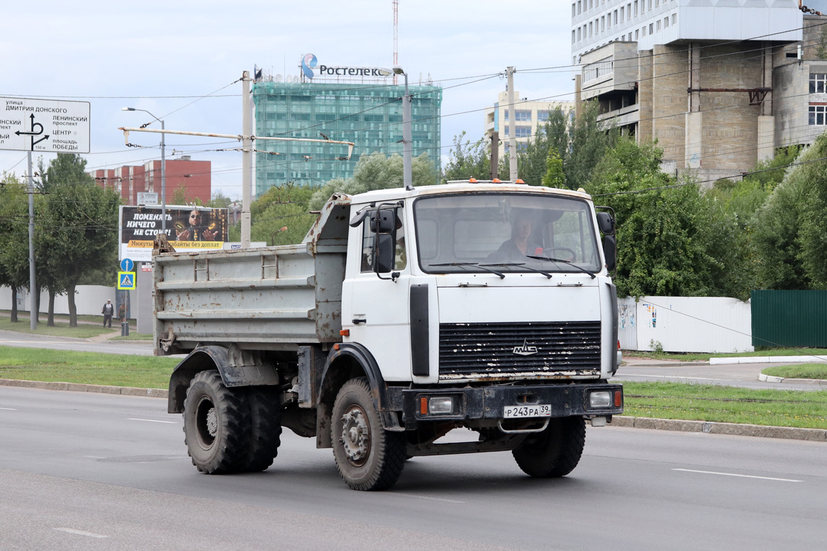 Калининградская область, № Р 243 РА 39 — МАЗ-555102