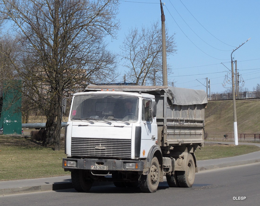 Витебская область, № АВ 2828-2 — МАЗ-5551 (общая модель)