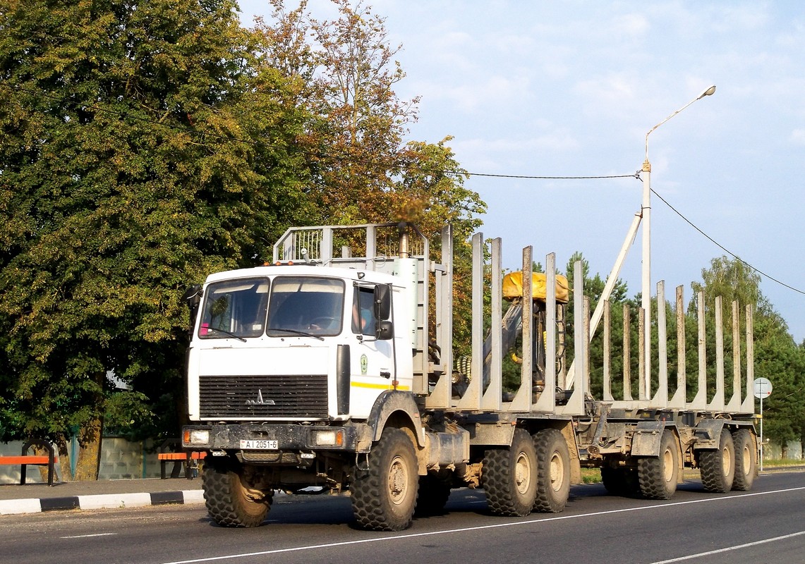 Могилёвская область, № АІ 2051-6 — МАЗ-6317 (общая модель)