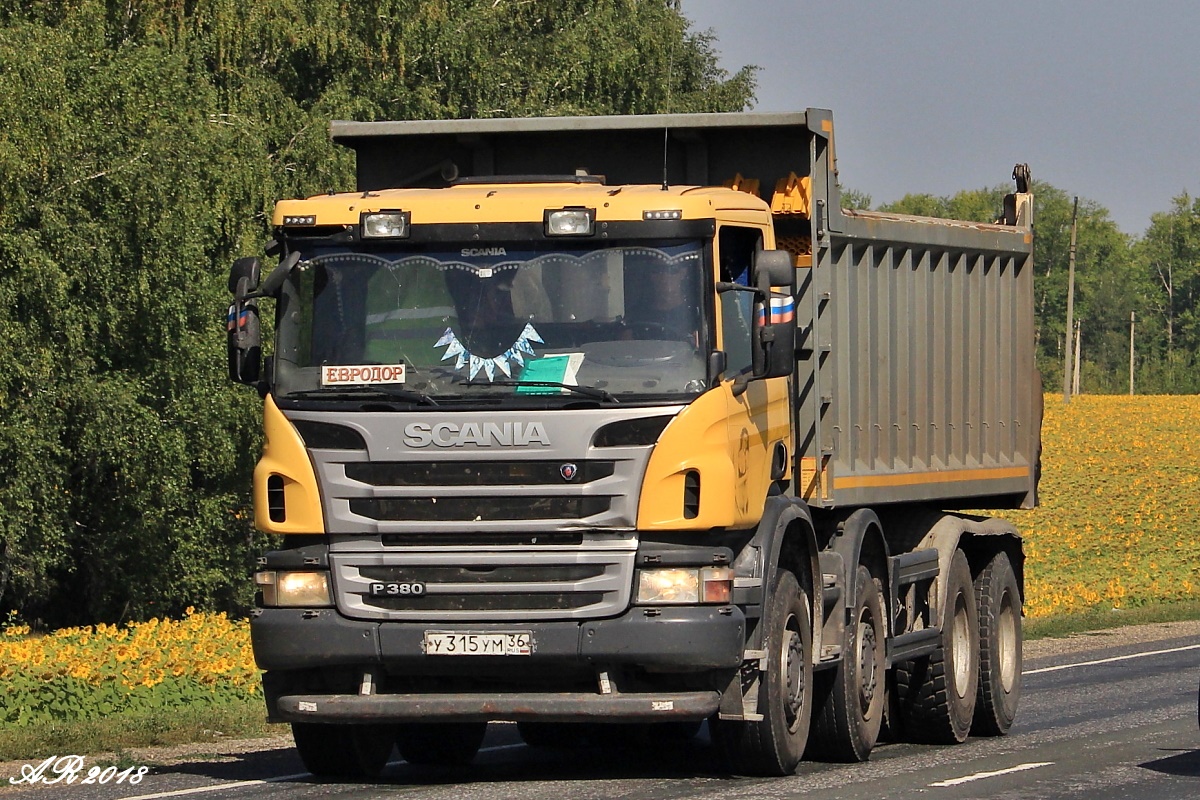 Воронежская область, № У 315 УМ 36 — Scania ('2011) P380