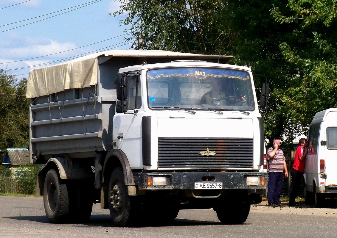 Могилёвская область, № АЕ 9557-6 — МАЗ-5551 (общая модель)