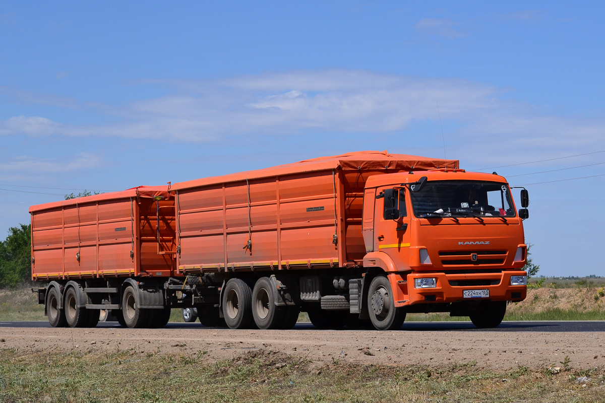 Ростовская область, № С 224 ХН 161 — КамАЗ-65115 (общая модель)