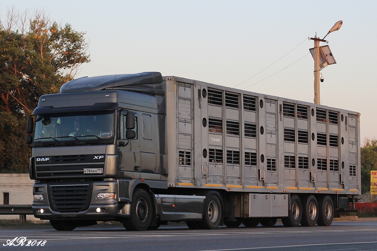 Москва, № К 784 КМ 777 — DAF XF105 FT